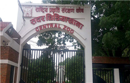 आधाले घट्यो चिडियाखानाको आम्दानी