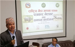 ६ वर्षमा थपिए १०७ गैंडा, सबभन्दा धेरै चितवनमा