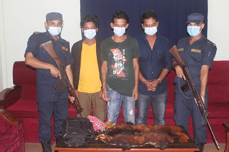  रेडपाण्डाको छाला सहित तीन पक्राउ