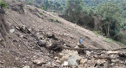 २०८१: विपदले पिरोलेको बर्ष 