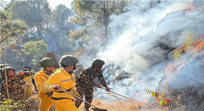 पाल्पामा डढेलोले सखाप हुँदै जङ्गल