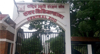 आधाले घट्यो चिडियाखानाको आम्दानी