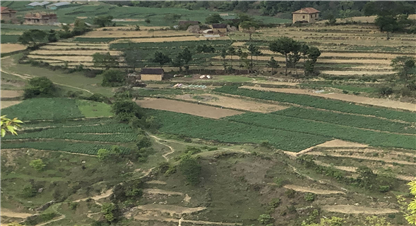 कृषिमा कीटनाशक औषधीको प्रयोगः केही अनुत्तरित प्रश्न र समाधानका उपायहरु 