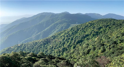 सामुदायिक वनबाट ३३ लाख घरधुरीहरु लाभान्वित