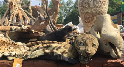 आखोटेपहार भण्डारणमा समस्या 