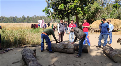 कार्य क्षेत्रमा छैनन् डिएफओ, बन्दको मौकामा तस्करलाई मौका 