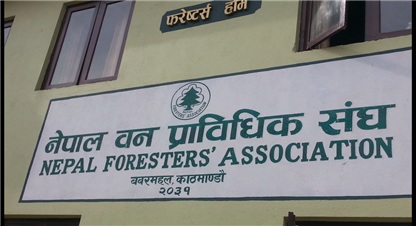 एनएफए निर्वाचन आज 