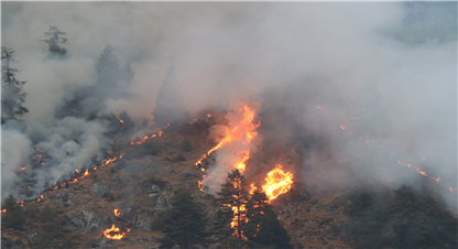 शिकार आरक्षमा आगलागी हुँदा ३० हेक्टर वन नष्ट