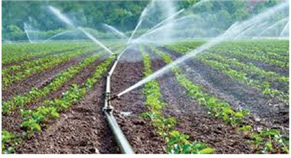 स्मार्ट कृषि कार्यक्रमले हौस्यायो कृषकलाई