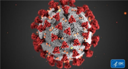  कोरोनाको भ्रम फैलाउने पक्राउ 