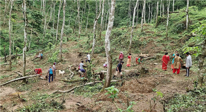 सामुदायिक वनमा फलफूल खेती