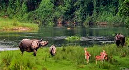 सिमसार र पानी :जीवनका आधार