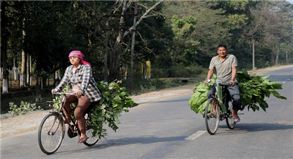 घाँसको जोहो 