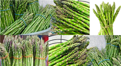 बहुउपयोगी कुरिलो, स्वास्थ्यका लागि फाइदैफाइदा