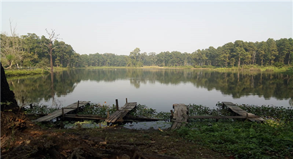 सिमसार मानव जीवनको आधार