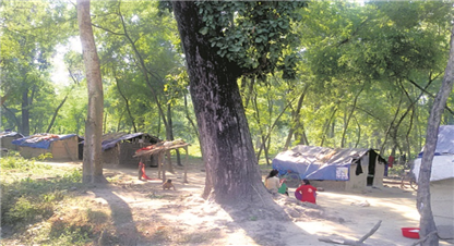  सुकम्बासीका नाममा वन अतिक्रमण बढ्यो 