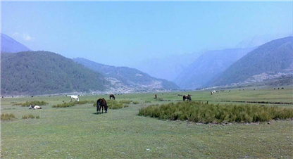 ढोरपाटन शिकार आरक्षको १ सय ८५ हेक्टर जमिन अतिक्रमण, संरक्षणमा चुनौती 