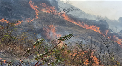 मकवानपुरमा डढेलोले ४ करोड बराबरको क्षति