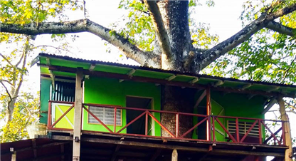 रुखमाथि बनेको ‘घर’ ले आकर्षण थप्दै
