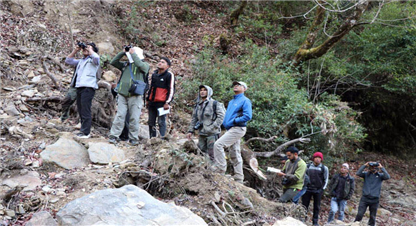जाजरकोटमा भेटिए ८८ प्रजातिका चरा